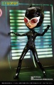 Pullip Catwoman Comic-Con Version.jpg