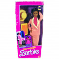 Day to Night Barbie AA